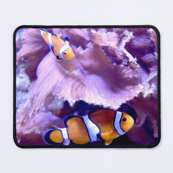 Item preview, Pair Of Clownfish designed and sold by ShutterbugBttns.