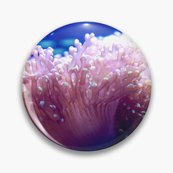 Item preview, Anemone designed and sold by ShutterbugBttns.