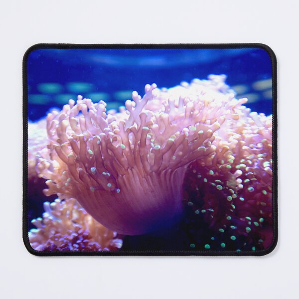 Item preview, Anemone designed and sold by ShutterbugBttns.
