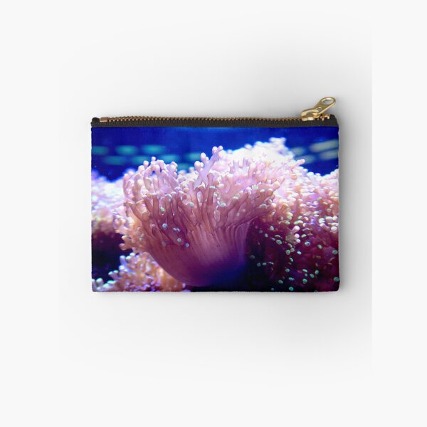 Item preview, Anemone designed and sold by ShutterbugBttns.