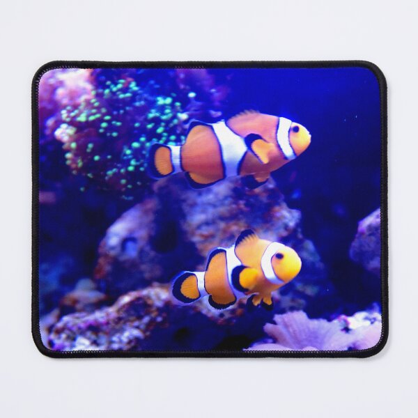 Item preview, Clownfish Pair designed and sold by ShutterbugBttns.