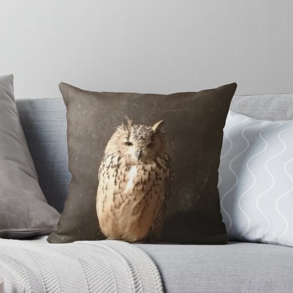 Item preview, Sleepy Owl (Nara) Owl Cafe designed and sold by windraider.