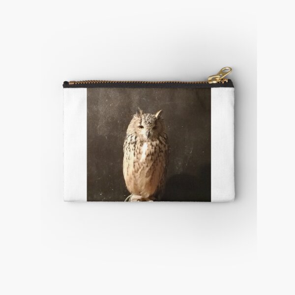 Item preview, Sleepy Owl (Nara) Owl Cafe designed and sold by windraider.