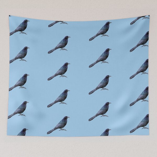 Item preview, Boat-tailed Grackle Color Design  designed and sold by designsasstultd.
