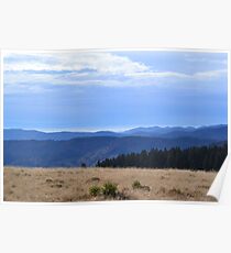 Black Forest Poster