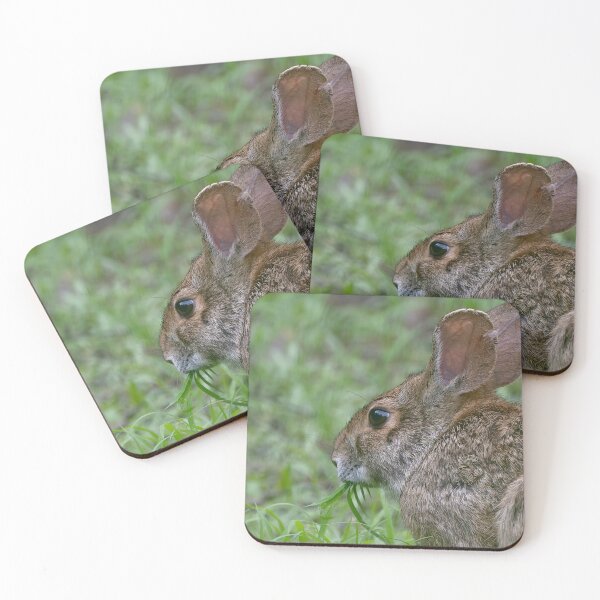 Item preview, Meadow Munchies designed and sold by tiltshiftearth.