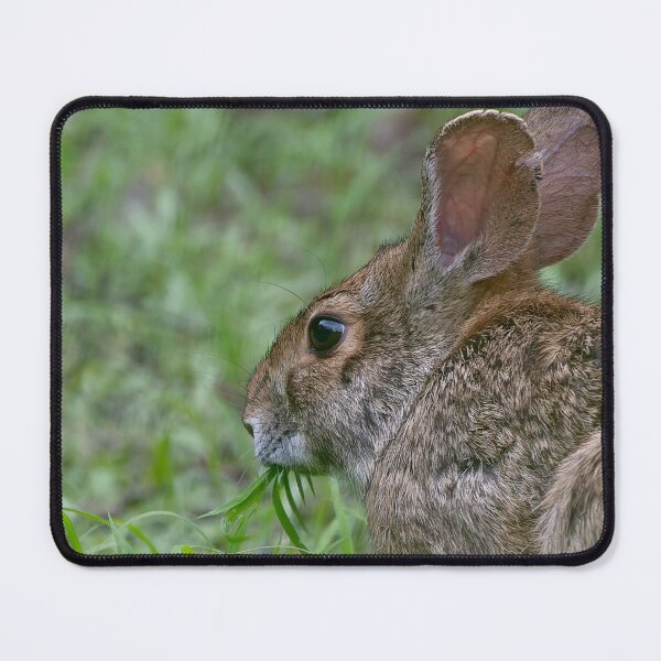 Item preview, Meadow Munchies designed and sold by tiltshiftearth.