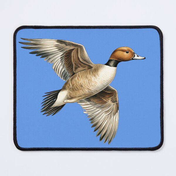 Item preview, Pintail designed and sold by Pike Island Outfitters .