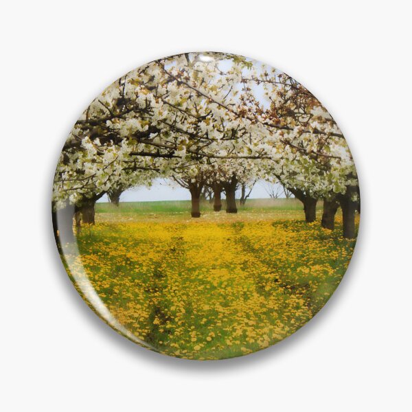 Artikelvorschau, Zeit für Kirschblüte entworfen und verkauft von maureen bracewell.