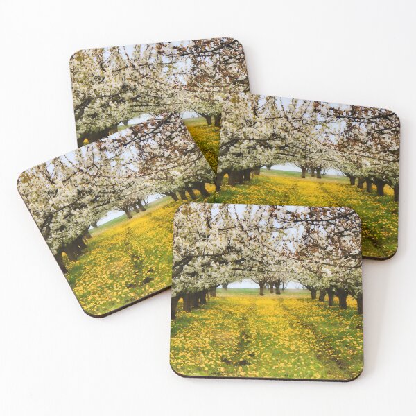 Item preview, Time For Cherry Blossom designed and sold by maureen bracewell.