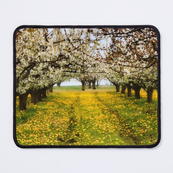 Item preview, Time For Cherry Blossom designed and sold by maureen bracewell.