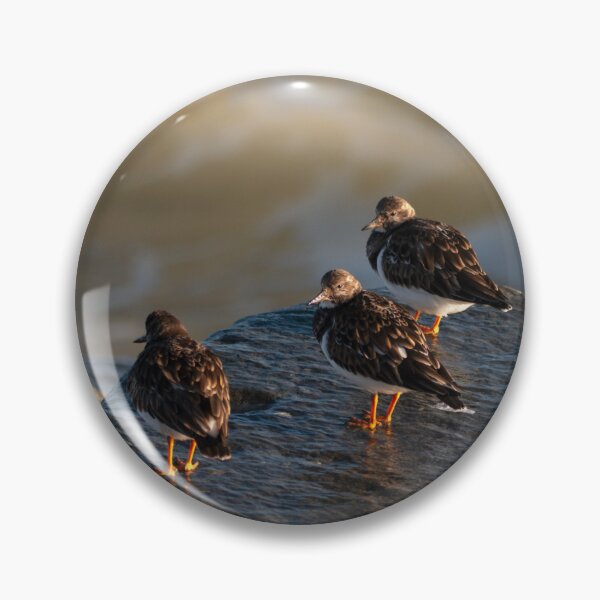 Item preview, Turnstone Trio designed and sold by GingerMan2550.