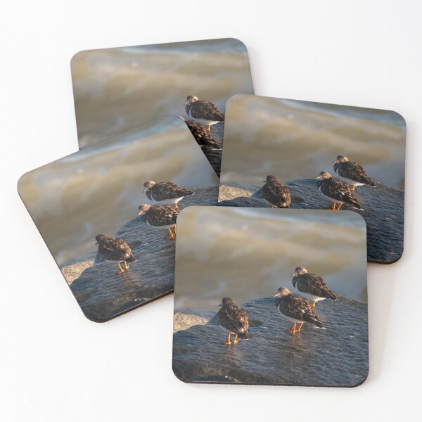 Item preview, Turnstone Trio designed and sold by GingerMan2550.