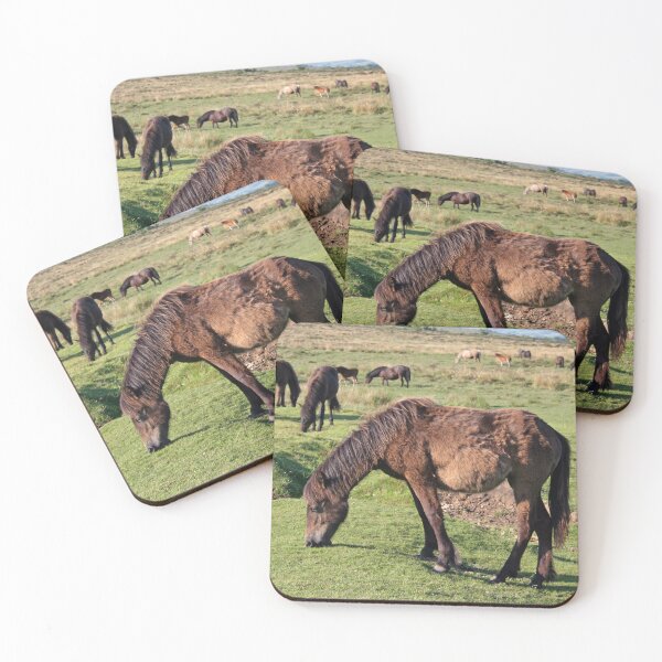 Item preview, Dartmoor ponies designed and sold by artsmeow.