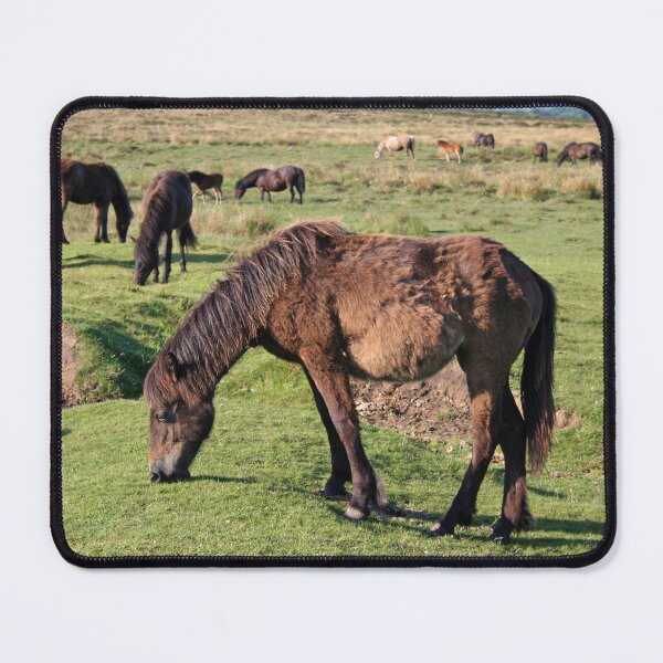 Item preview, Dartmoor ponies designed and sold by artsmeow.