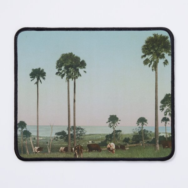 Item preview, Somewhere in Australia designed and sold by 19th Century in Color.