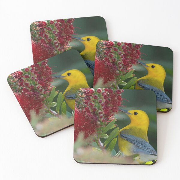 Item preview, Prothonotary's Paradise designed and sold by tiltshiftearth.