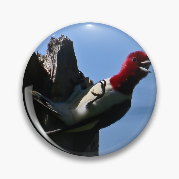 Item preview, Vocal Visitor designed and sold by tiltshiftearth.
