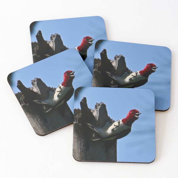 Item preview, Vocal Visitor designed and sold by tiltshiftearth.
