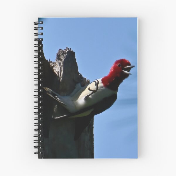 Item preview, Vocal Visitor designed and sold by tiltshiftearth.