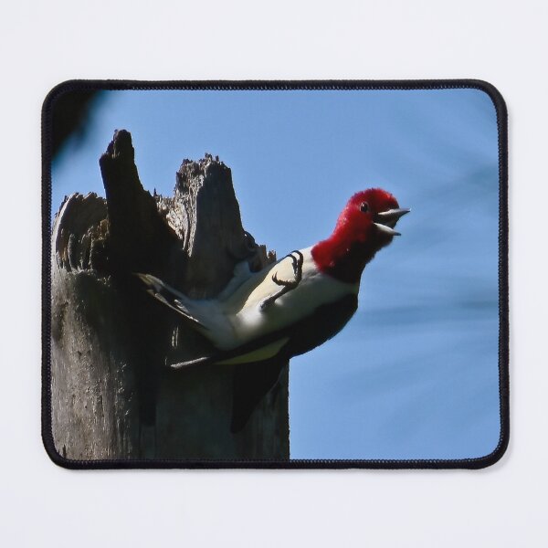 Item preview, Vocal Visitor designed and sold by tiltshiftearth.