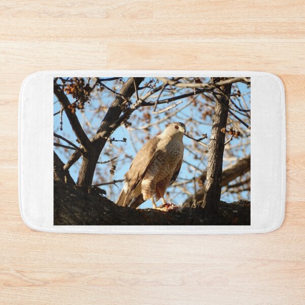 Item preview, Coopers Hawk in a Tree designed and sold by Luna-Marigolde.