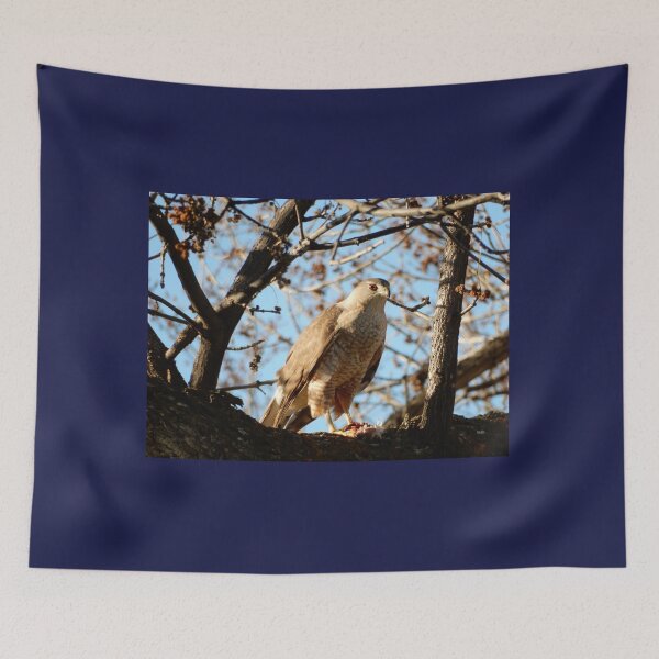 Item preview, Coopers Hawk in a Tree designed and sold by Luna-Marigolde.