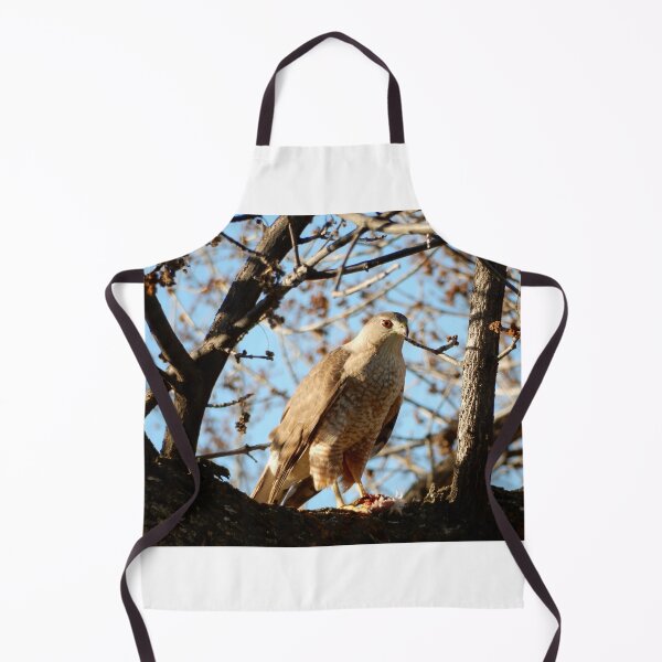 Item preview, Coopers Hawk in a Tree designed and sold by Luna-Marigolde.