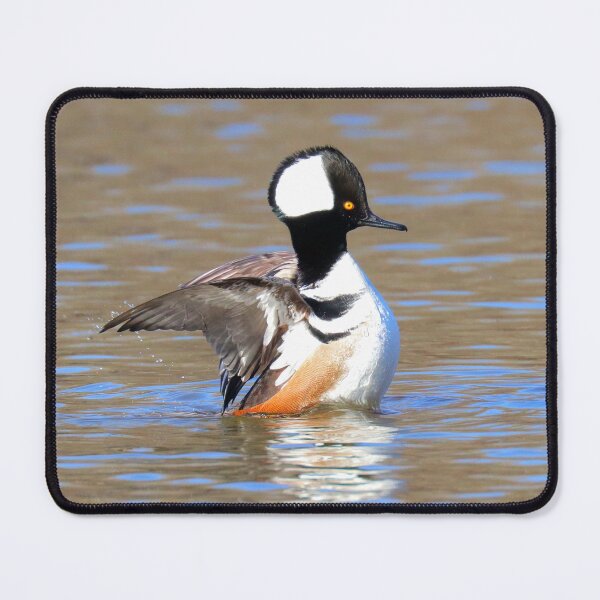 Item preview, Hooded merganser designed and sold by Parks and X.