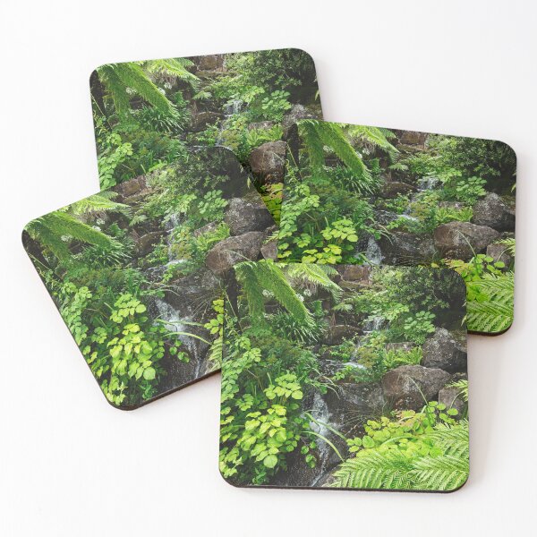 Item preview, Blue Mountains Botanic Garden, NSW, Australia 2 designed and sold by StevenRalserPhoto.