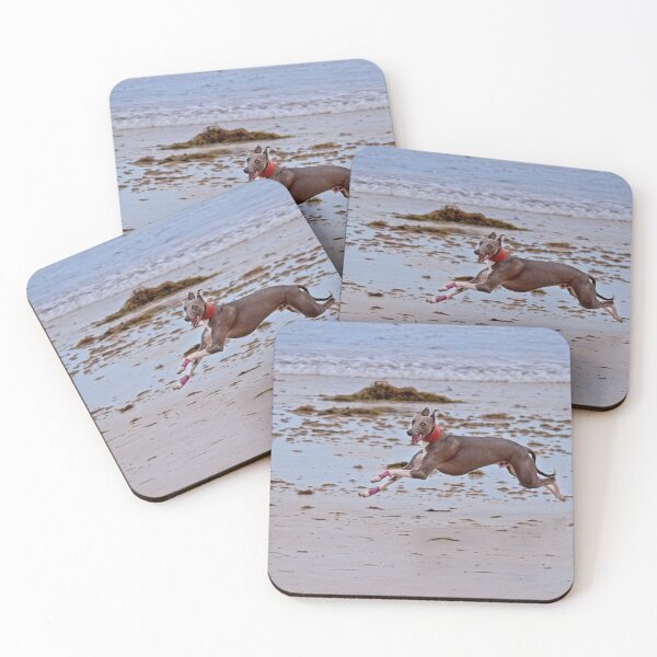 Item preview, Whippet on Beach, Australia 3 designed and sold by StevenRalserPhoto.