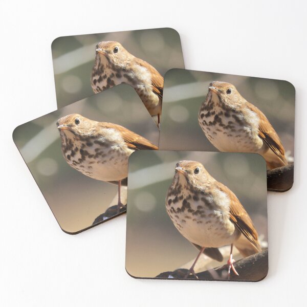 Item preview, Hermit thrush designed and sold by Parks and X.