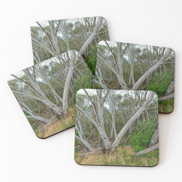 Item preview, Eucalyptus trees, Australia designed and sold by StevenRalserPhoto.
