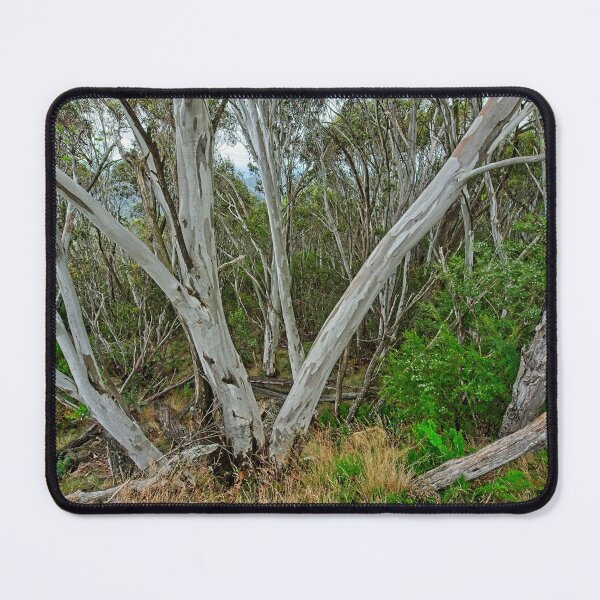 Item preview, Eucalyptus trees, Australia designed and sold by StevenRalserPhoto.