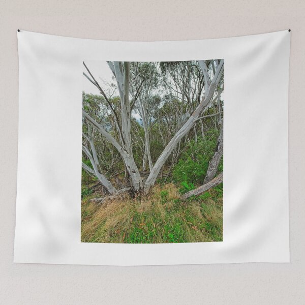 Item preview, Eucalyptus trees, Australia designed and sold by StevenRalserPhoto.
