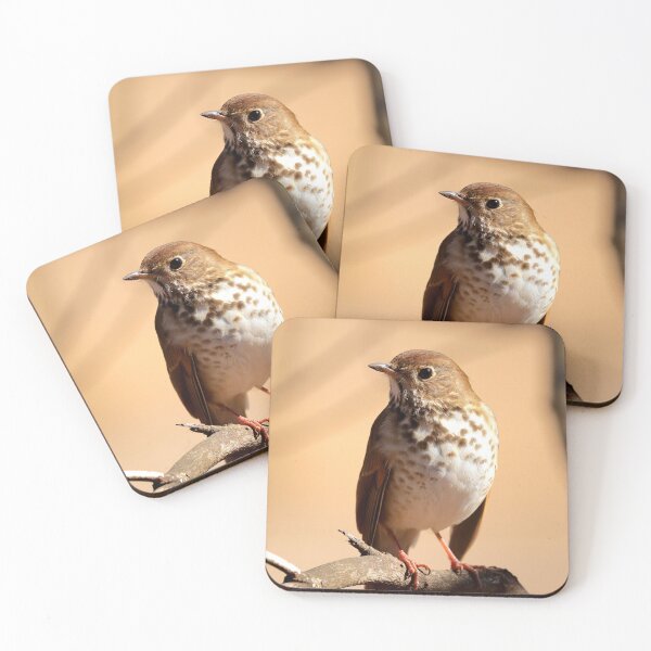 Item preview, Hermit thrush designed and sold by Parks and X.