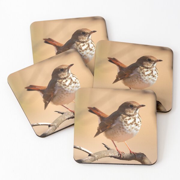Item preview, Hermit thrush designed and sold by Parks and X.