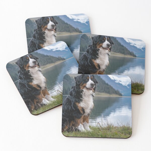 Item preview, Bernse Mountain Dog Enjoying the Lake designed and sold by Wild Paws and Pine Co. ©.