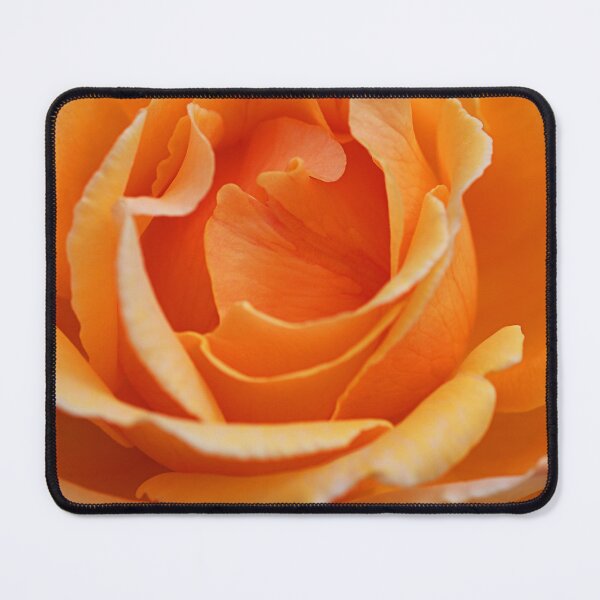 Item preview, The Rose Orange Sorbet designed and sold by Joy Watson - Natural Light Photography .