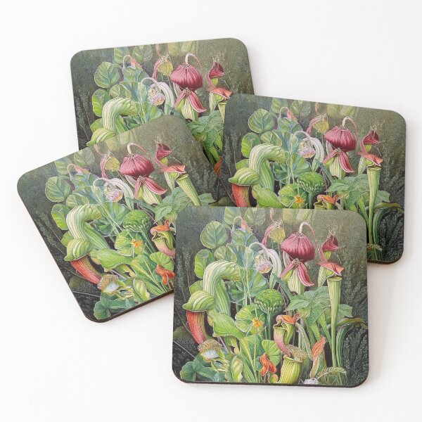 Item preview, Sarracenia designed and sold by andreisky.