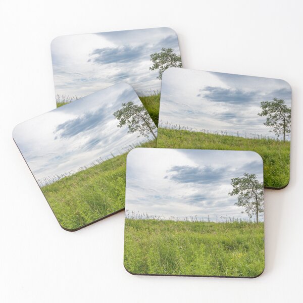 Item preview, Solitary Tree at Sam Smith Park in Toronto designed and sold by jrtwynam.