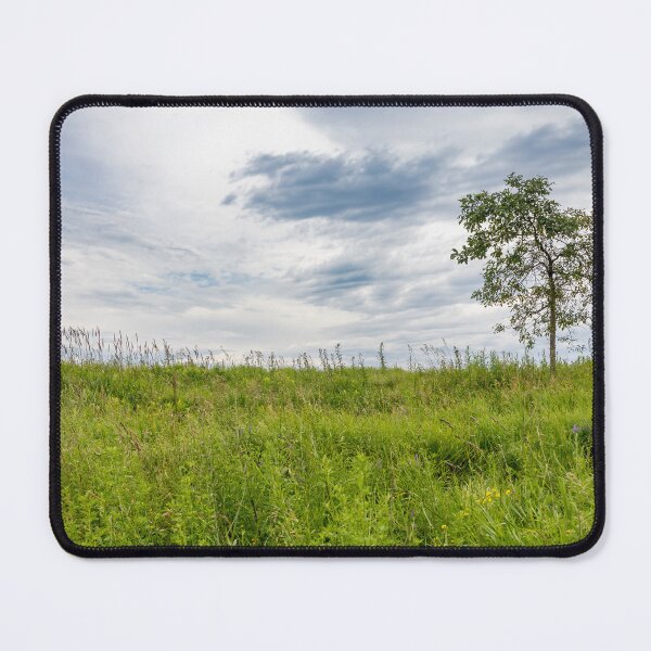 Item preview, Solitary Tree at Sam Smith Park in Toronto designed and sold by jrtwynam.