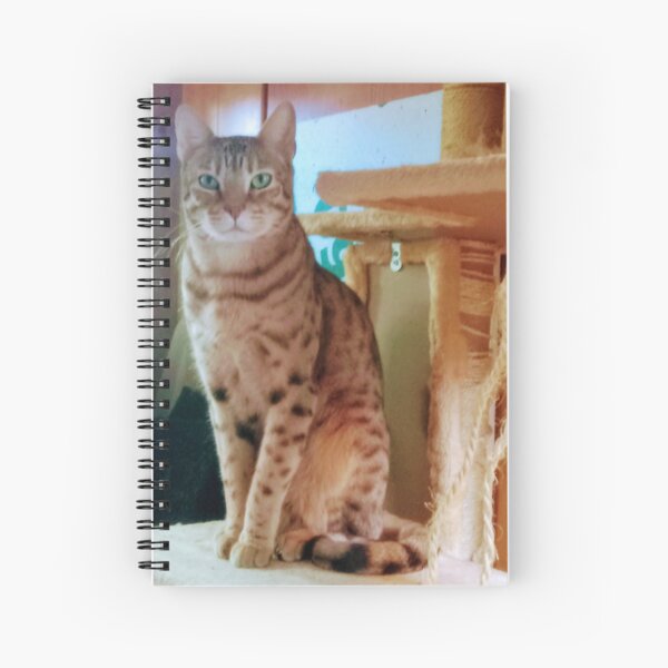 Item preview, Savannah cat designed and sold by touz22.
