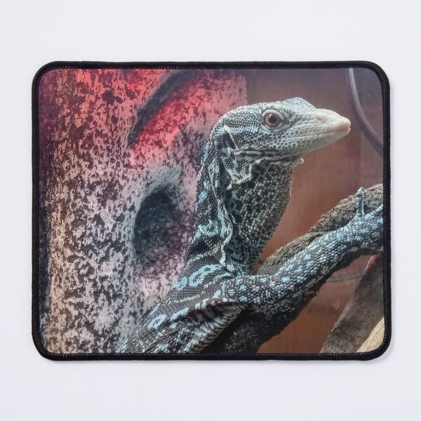 Item preview, Monitor lizard designed and sold by touz22.