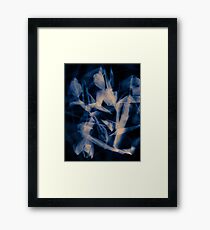Tulips background Framed Print