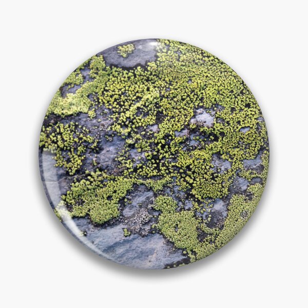 Item preview, lichen designed and sold by KathleenDawson.