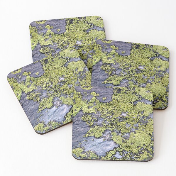 Item preview, lichen designed and sold by KathleenDawson.