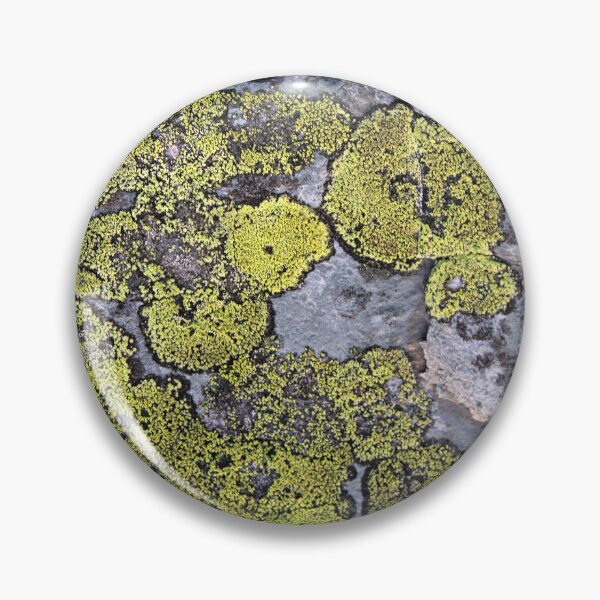 Item preview, lichen designed and sold by KathleenDawson.