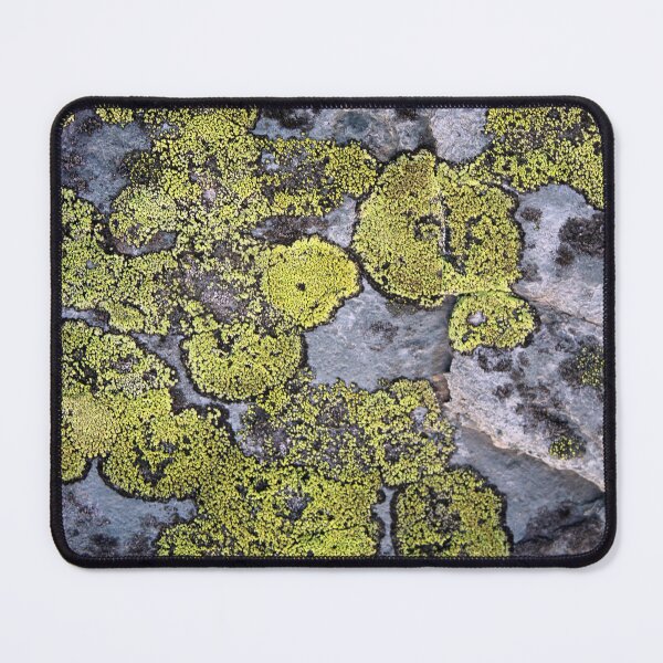 Item preview, lichen designed and sold by KathleenDawson.