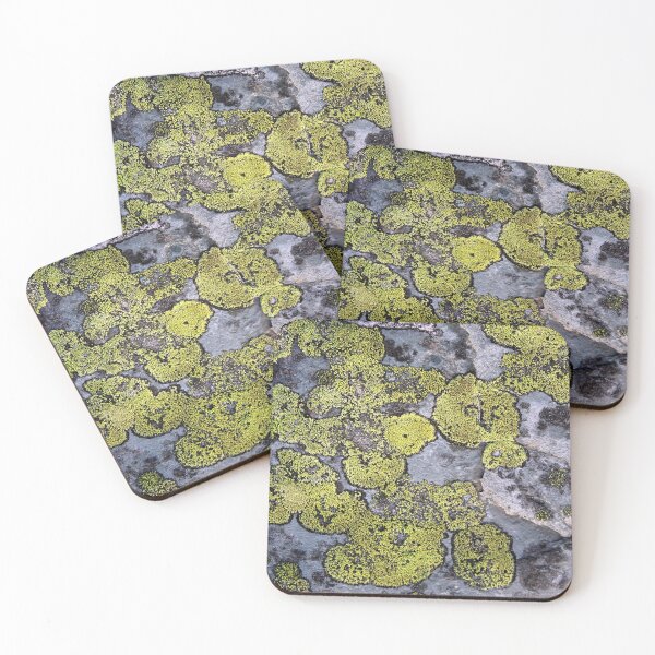 Item preview, lichen designed and sold by KathleenDawson.